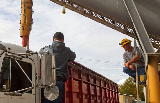 Farmers voice Measure 97 fears