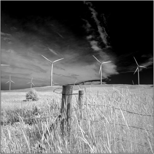 Kaleidoscope: ‘Straightforward vigor’