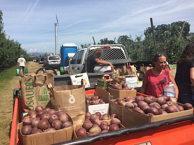 Gleaners Get Going