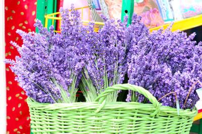 A3 Lavender-Festival-Hood-River.jpg