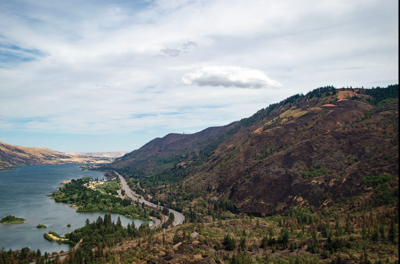 Rowena Fire