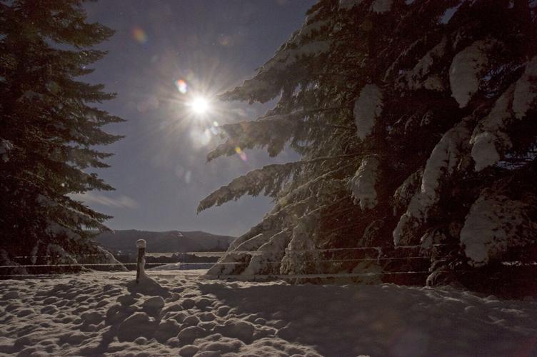 The Daily Bread: The Art of Discipline