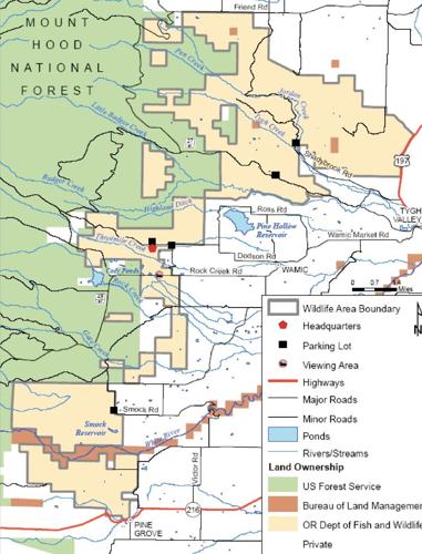 New wolves confirmed in county