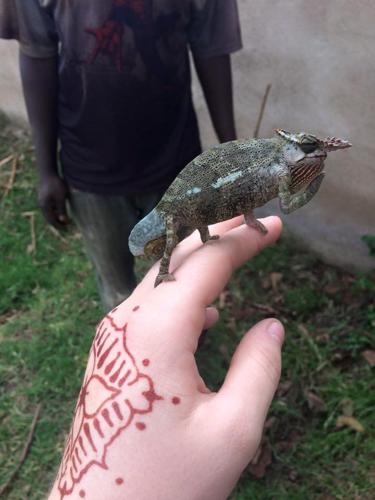 Travelogue: Tanzania