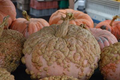 Parkdale Pumpkin parade, fun run Oct. 29