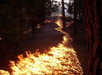 Prescribed fires planned for east end of the Gorge