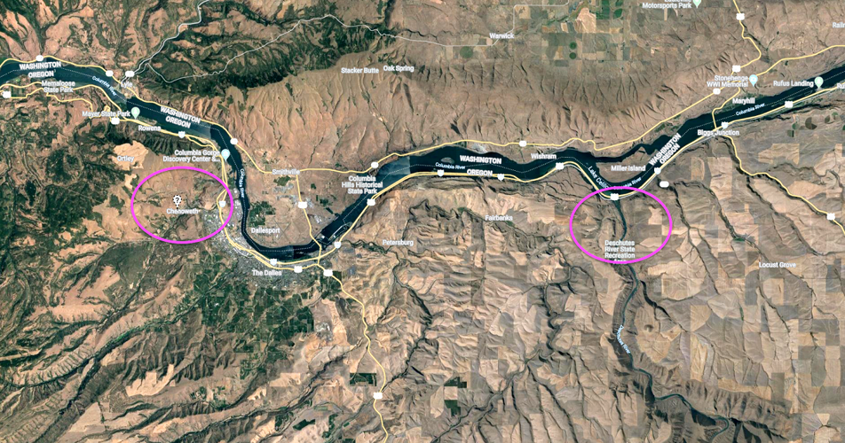 Melecta edwardsii map