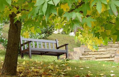Extension cord: Find Christmas gifts your gardener will love