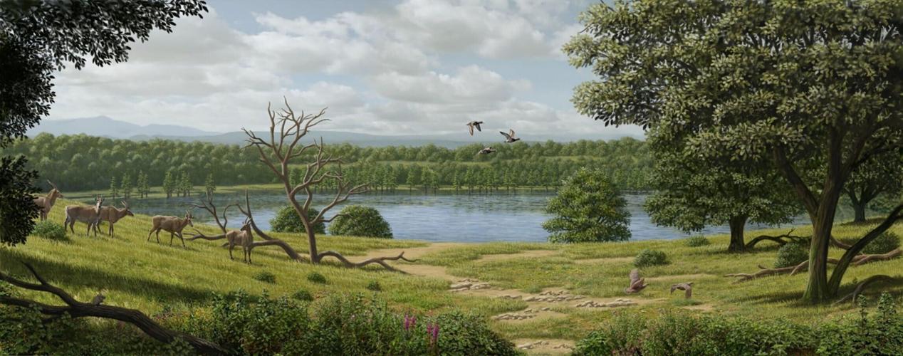 Ancestors of today’s cattle roamed grasslands of Europe four million years ago