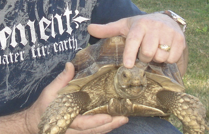 Pee Wee’s big adventure