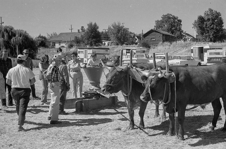 history_mystery060 WEB.jpg