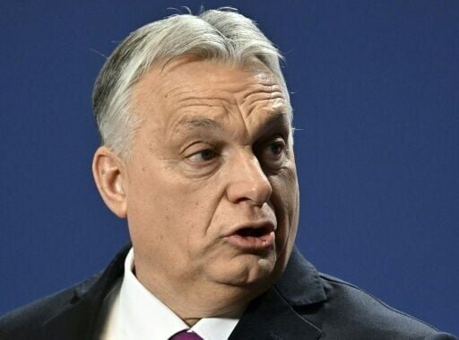 Many American conservatives admire Hungary's Prime Minister Viktor Orban for his hardline anti-immigration stance, resistance to LGBTQ rights and war against 'gender ideology'