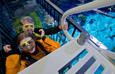 Swimming with Sharks