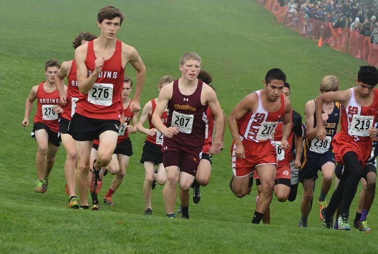 CHS XC teams post top-10 finishes at state