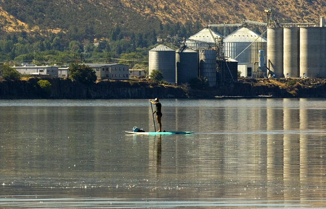 A new, wet world for yoga ─ paddleboarding