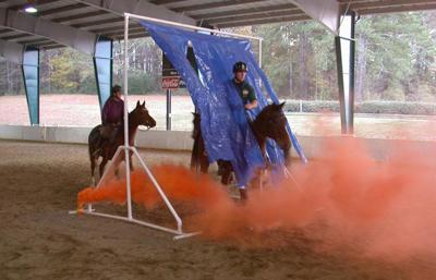 Horse clinic will address de-spooking