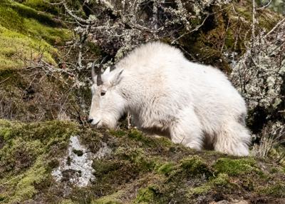 B1 Wild about nature TWO PICS.jpg