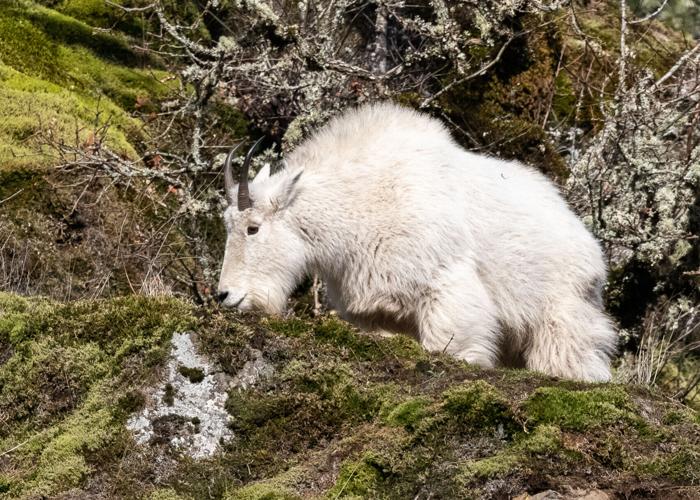 B1 Wild about nature TWO PICS.jpg