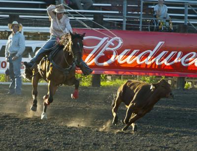 Webber wins bull riding event