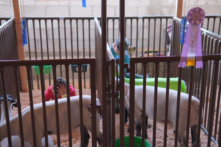 Kolten Whitaker and Will Rolfe