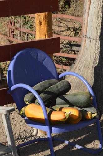 GORGE A or B the porch, five mile idyll.JPG