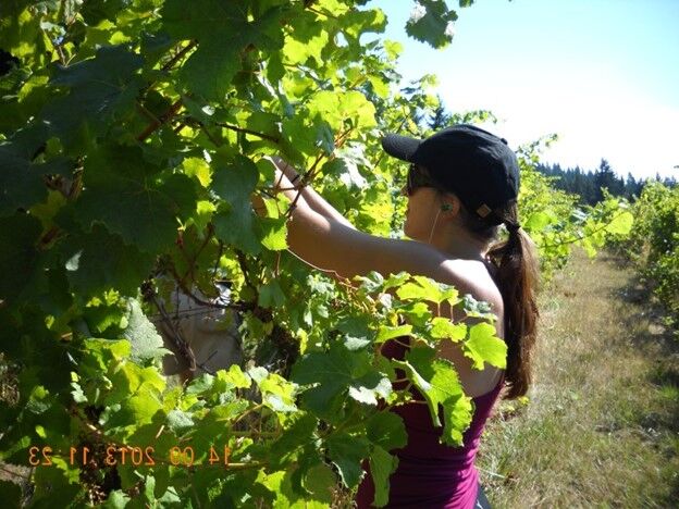 Bernard and Anne Lerch