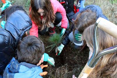 Gorge Ecology Institute gives WS students hands on education