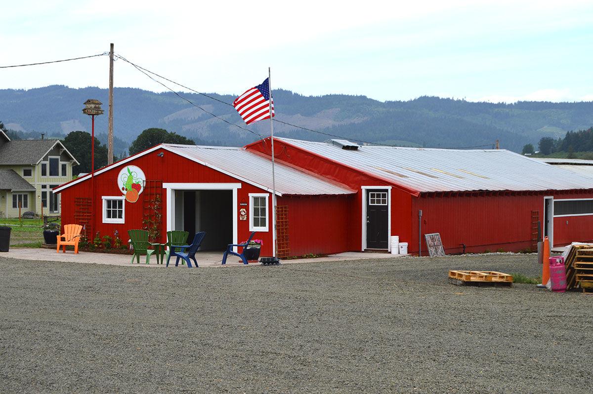 Packer Farm Place Debuts Pumpkin Patch Corn Maze News Columbiagorgenews Com
