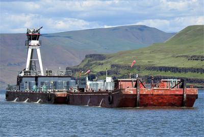 Juvenile fish get a ride downriver