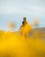 Columbia Arts to feature Scholl’s “Into the Forest,” Hotchkiss’ photography