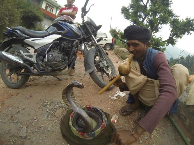 Travelogue: South India