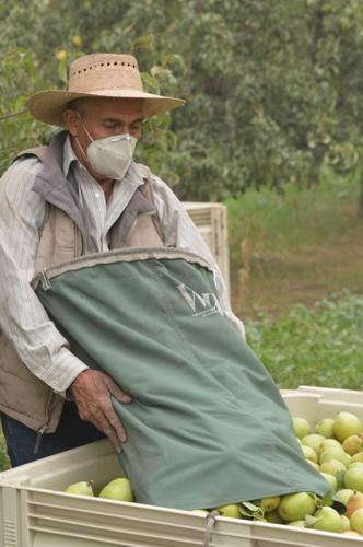 HR smoke, juan martinez.JPG