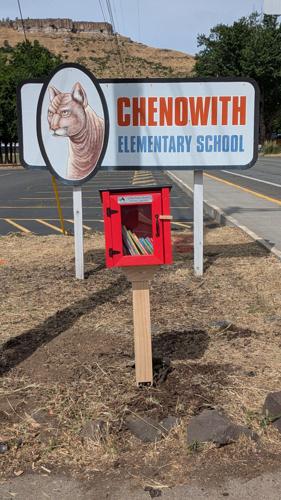 Free little library