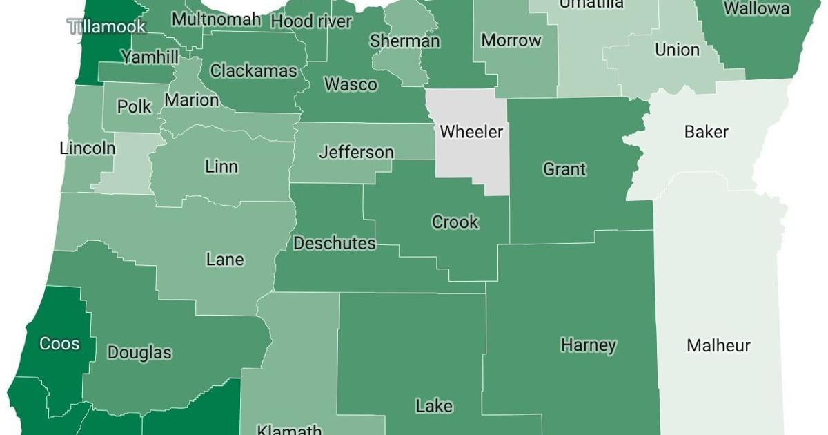 69d6df3a883f6.image.jpg?crop=1220,641,0,