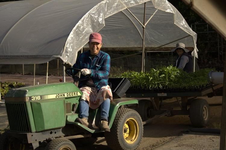 St. Joseph's plant sale returns 2.jpg