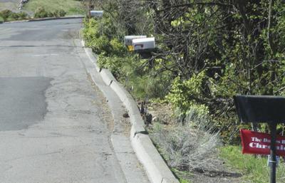 Editorial: Look for alternatives