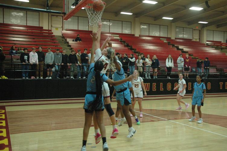 DSC_0027 - Copy (5).jpeg