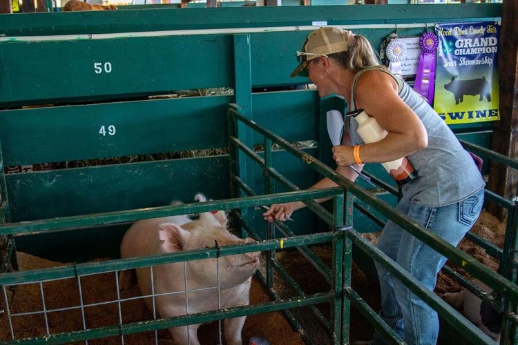 Hood River Co. Fair 2022