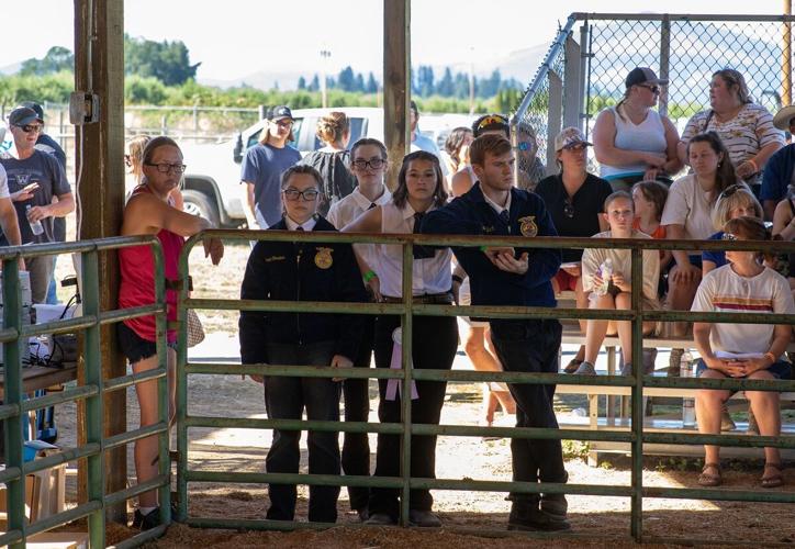 Hood River Co. Fair 2022