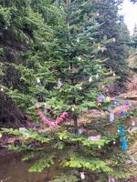 Porch (and Ditch): April 27