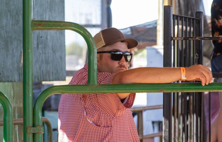 Hood River Co. Fair 2022