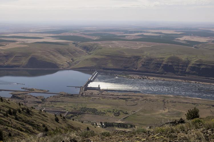 Goldendale Project_01_Rye Development copy.jpg