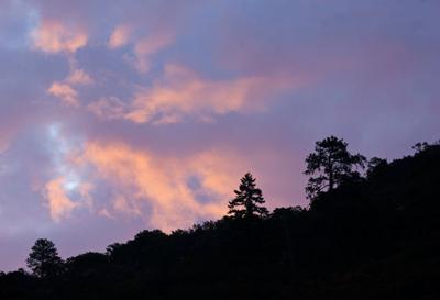 Early morning sun