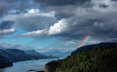 09-23 after the wind and rain standalone, stephen datnoff.jpg