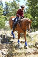 Saddle Club participates in Equine Trail Sports, plans ‘Meet a Horse’