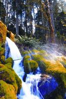 Gov. Brown asks state agencies to pull back on Cascade Locks water transfer