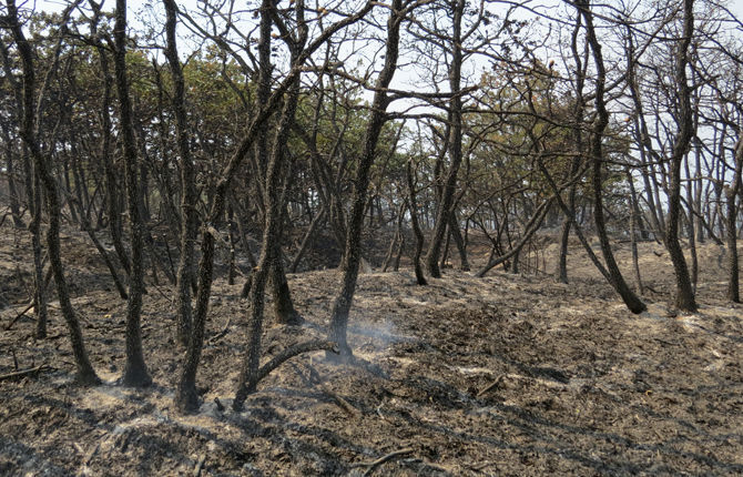 Obrist Road evacuated as fire escalates