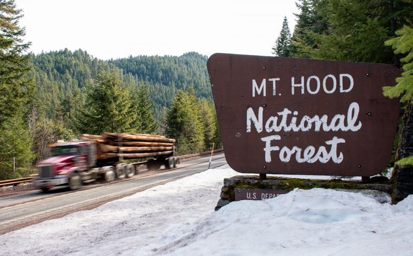 MtHoodForestSign2.jpg