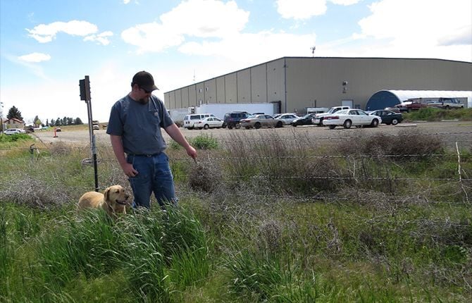 Sherman plows into weed issue