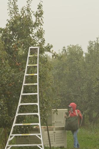 HR smoke, optional.JPG